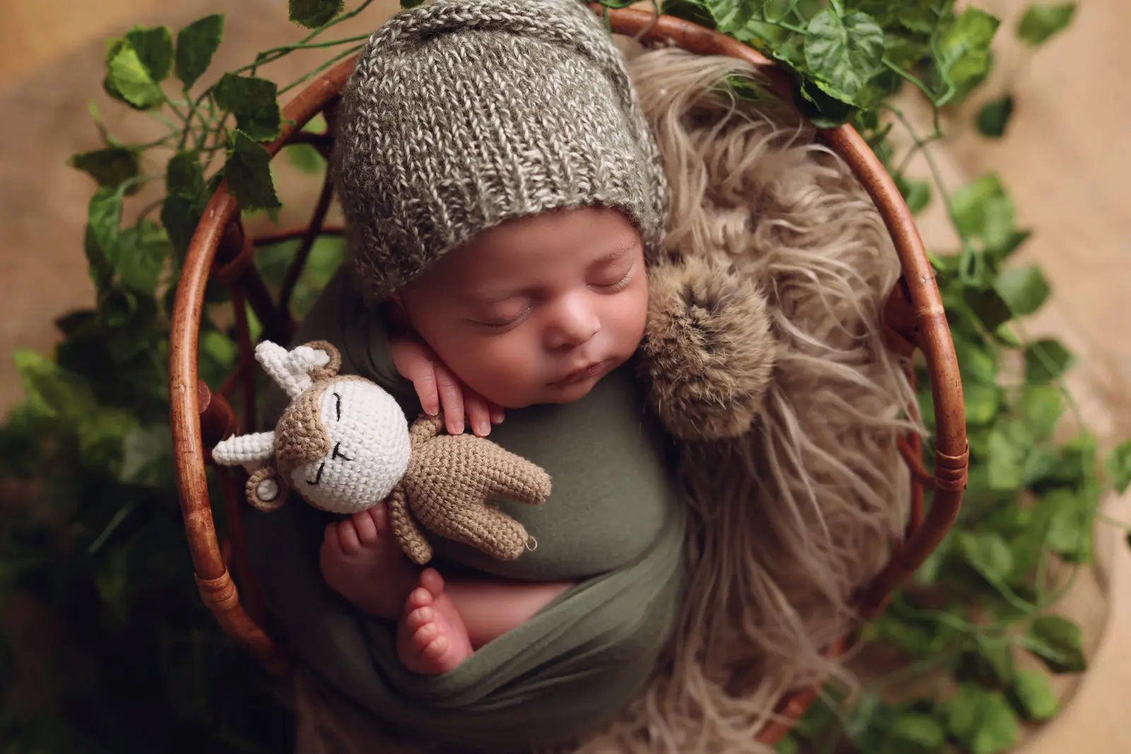 צילום ניובורן בשפלה