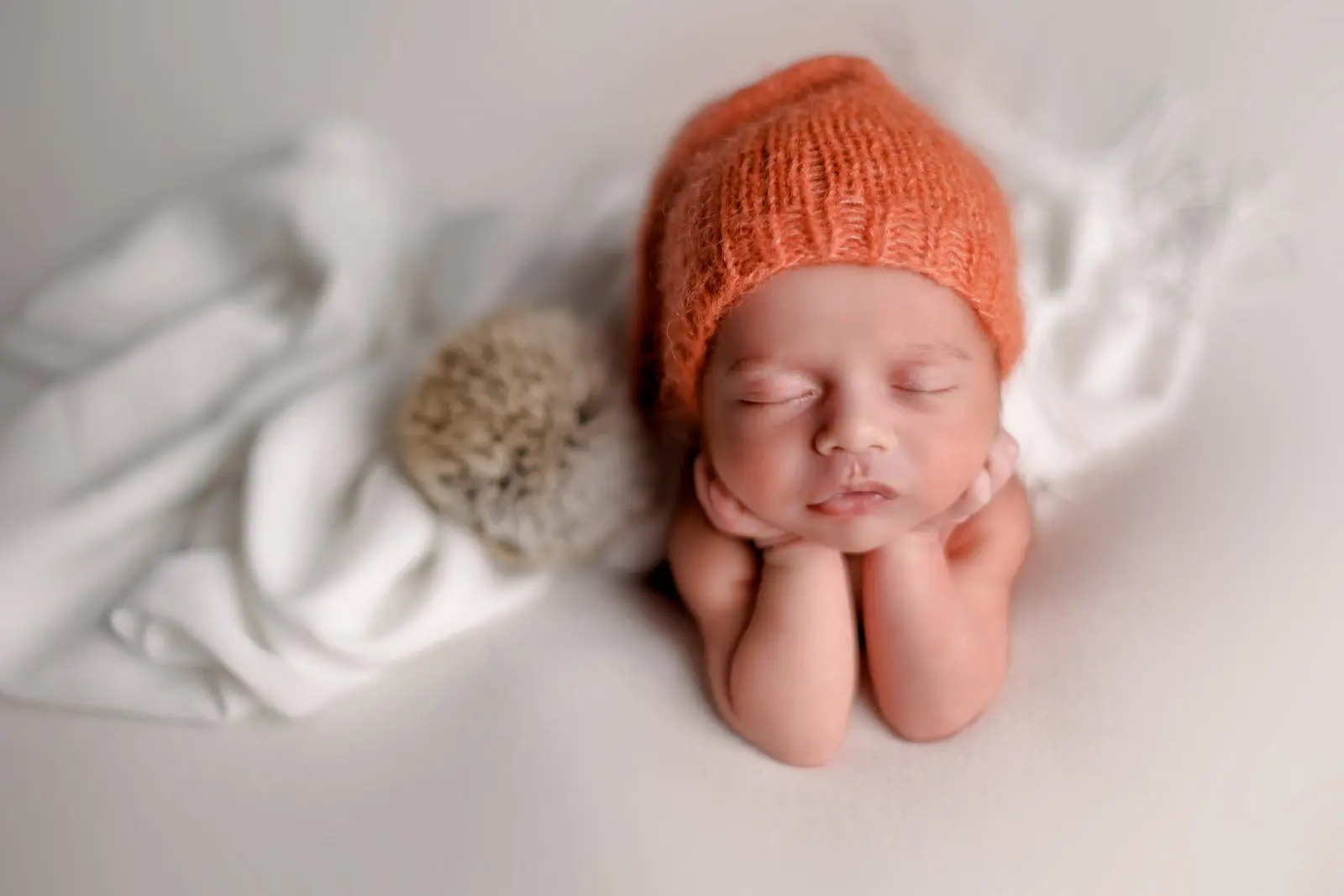 צילום ניובורן כולל אלבום