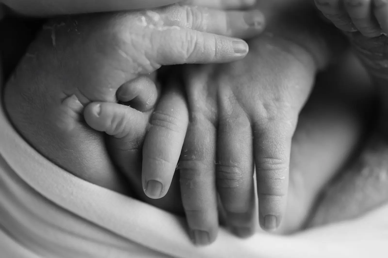 סטודיו מקצועי לצילום ניובורן