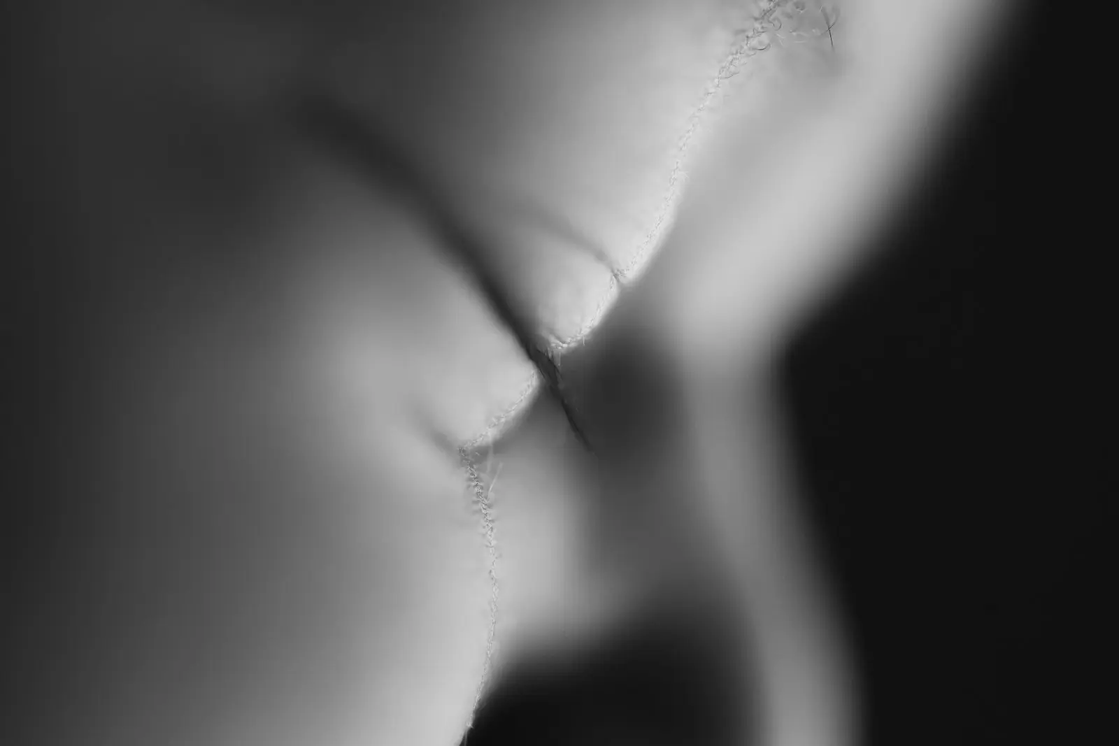 סטודיו לצילום תינוקות