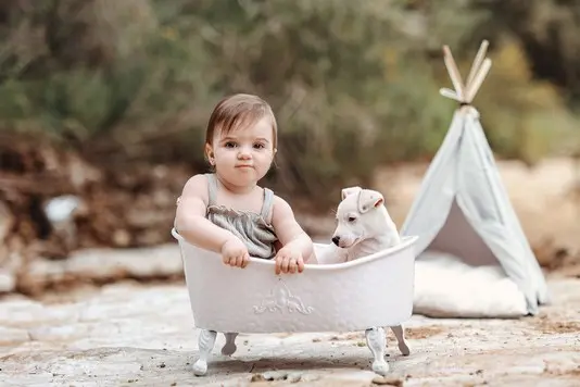 תיעוד גיל שנה בטבע ברקע ירוק מושלם