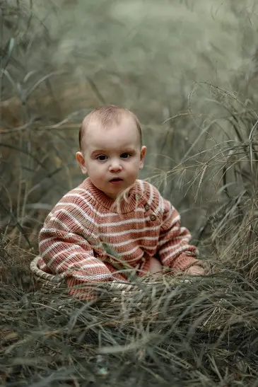 בוק גיל שנה בטבע עם עץ ברקע